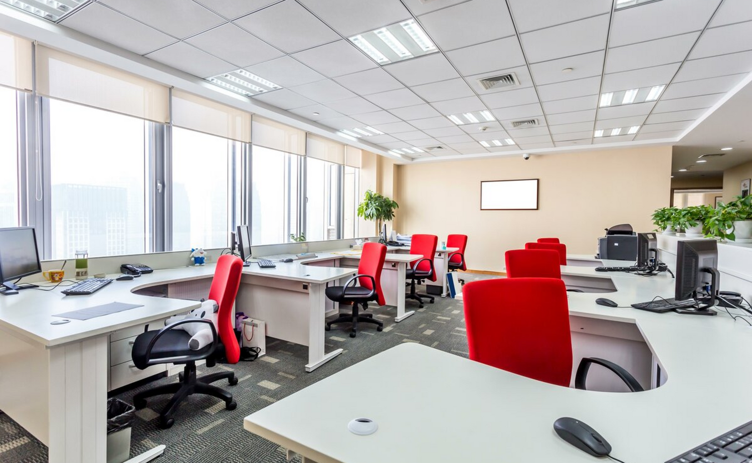 Office cleaning